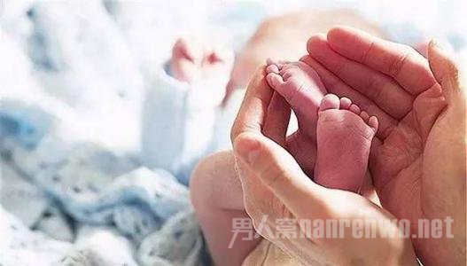各地产假普遍延长