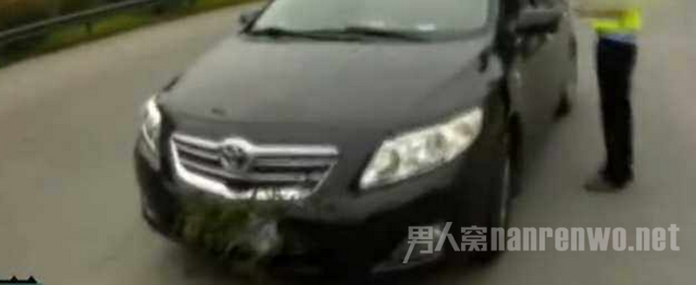 女司机用草遮挡车牌