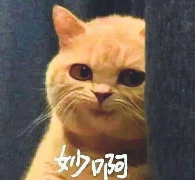 ߴ