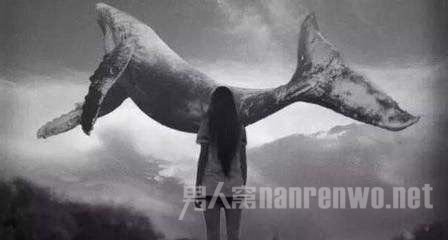 蓝鲸死亡游戏