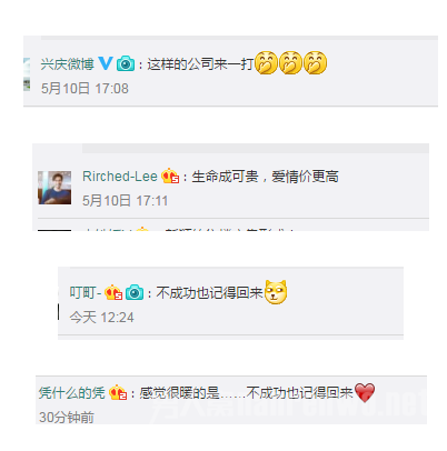 网友热议