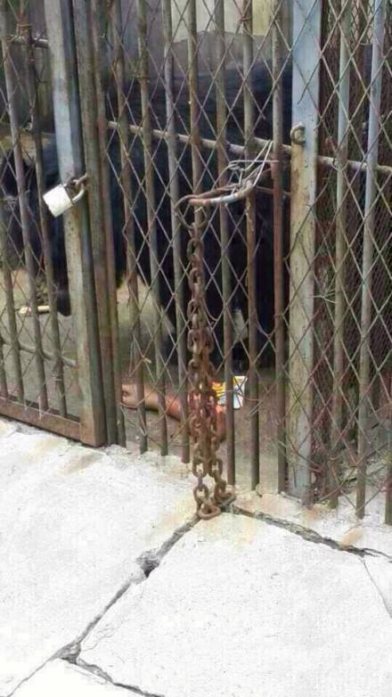 喂熊