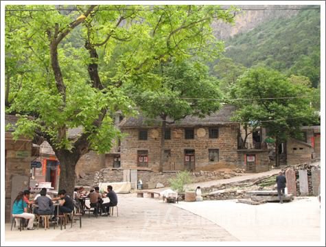 村口树下打牌