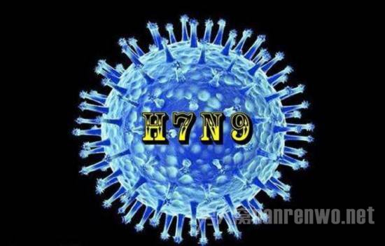 H7N9病毒