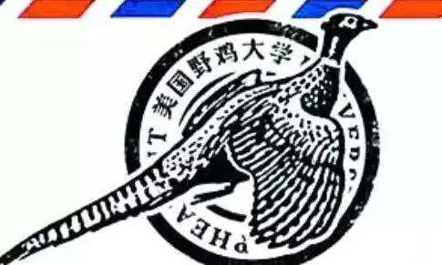 野鸡大学