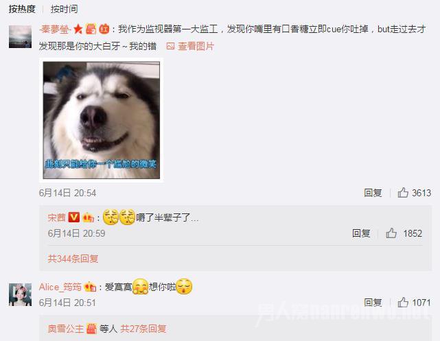 宋茜回复网友