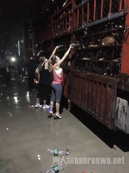 志愿者给外围狗狗补水
