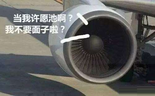 ߴ