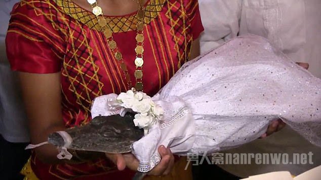 ī���紫ͳ����