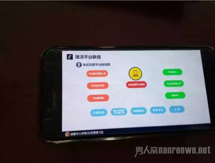 老虎直播