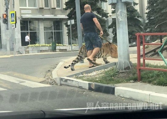现场照片