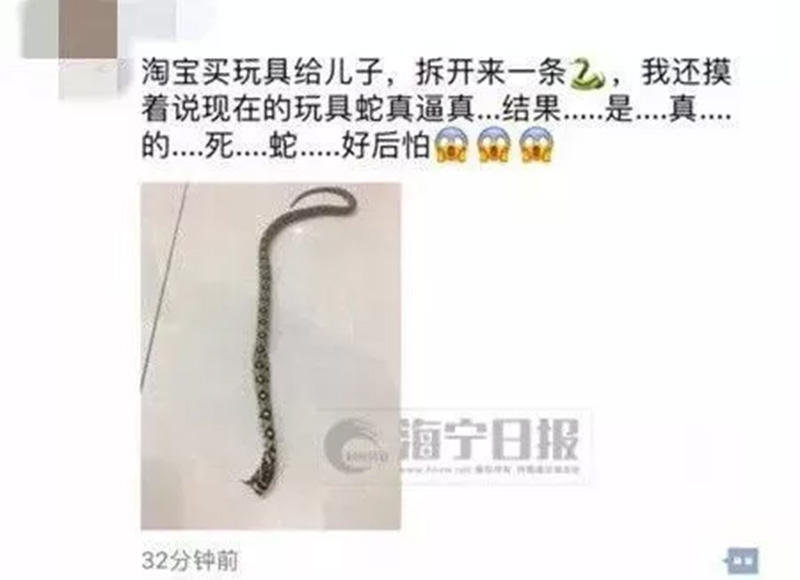 网购玩具出现真蛇