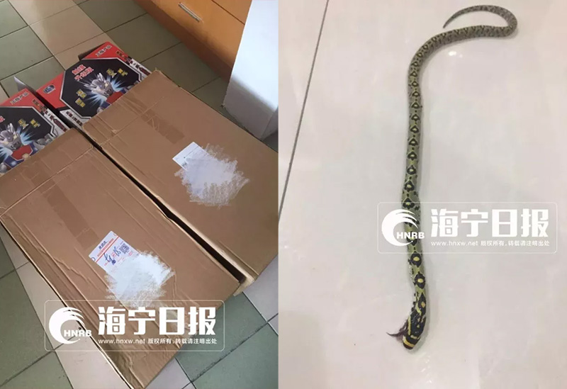 网购玩具