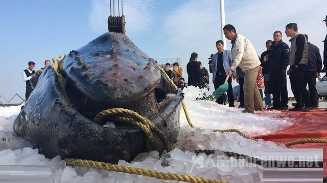 ������ͷ������