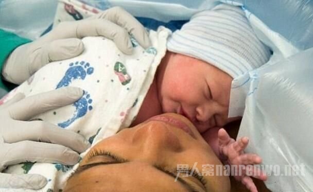 �ճ����ĺ���