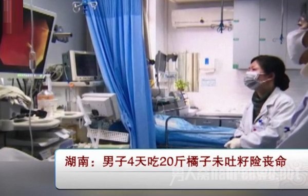 男子吃20斤橘