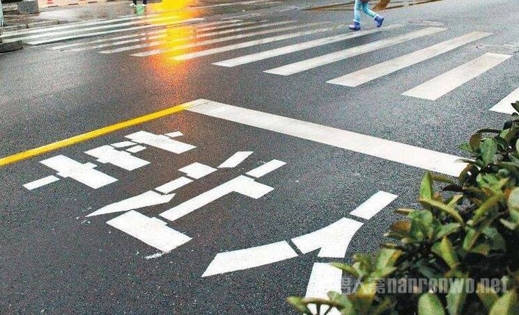 车未让人