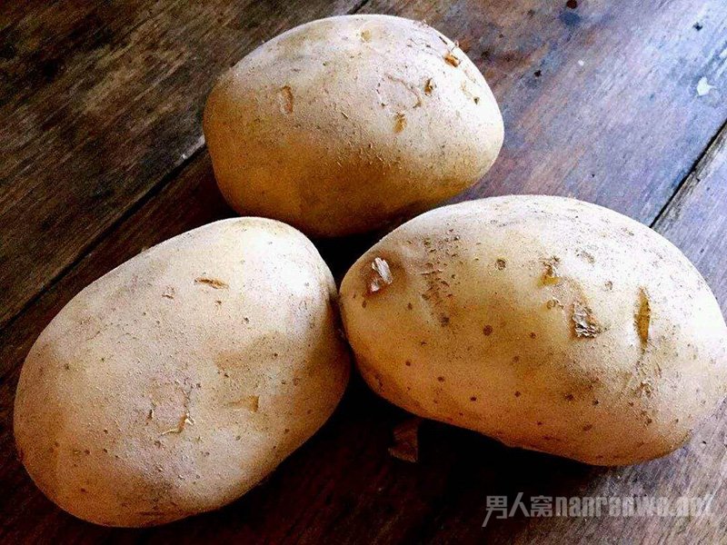土豆