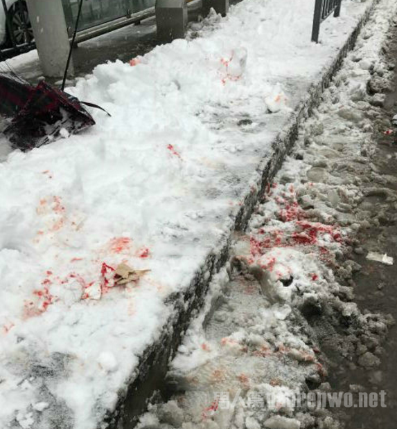 合肥暴雪致公交站台坍塌