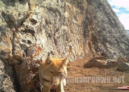 �ຣ����Ұ���غ�