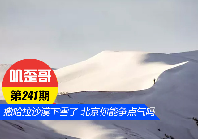叽歪哥