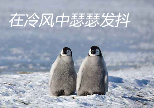 叽歪哥