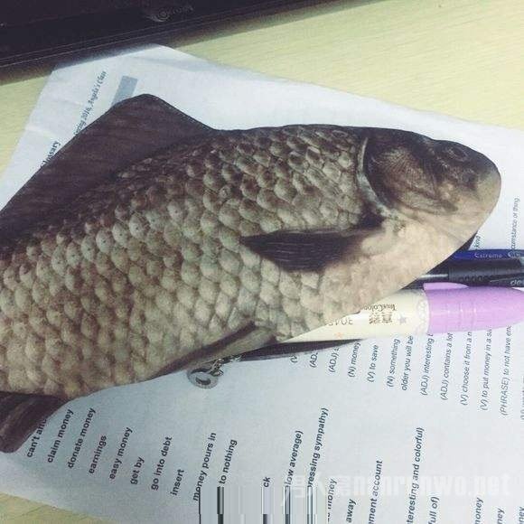 鲫鱼笔袋