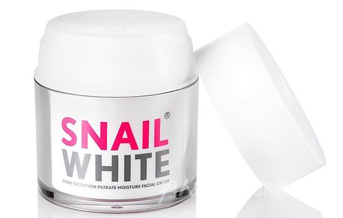 ̩SNAIL WHITEţ˪