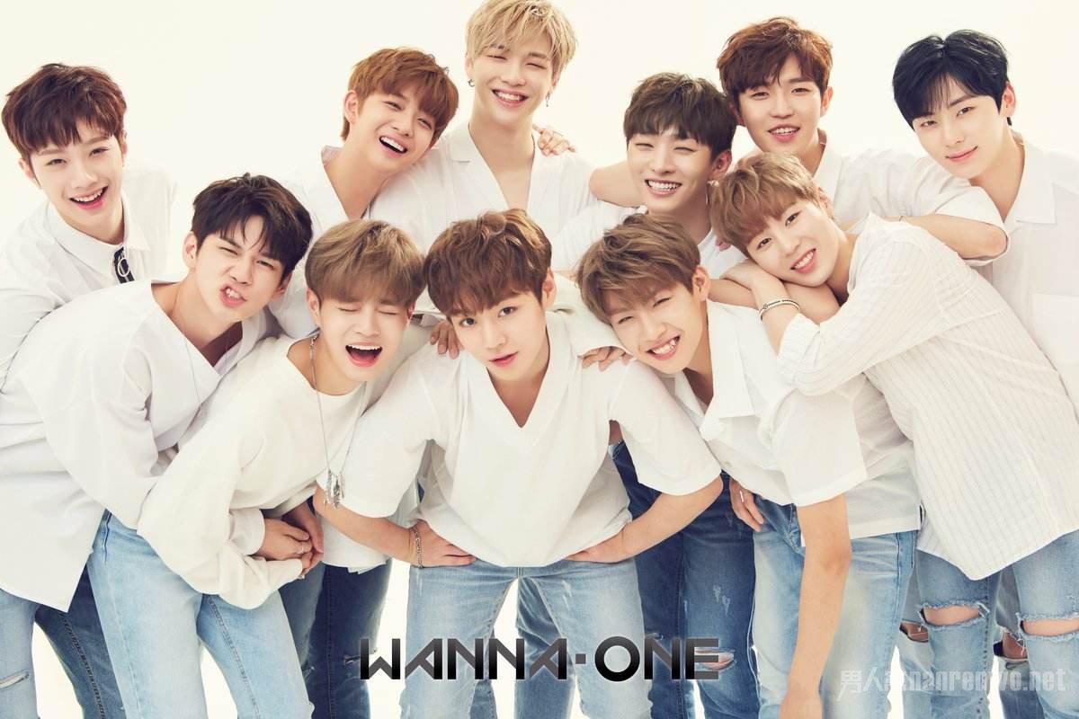 WannaOne成员