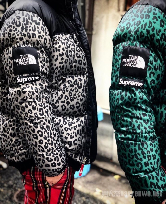 SupremeXThe North Face