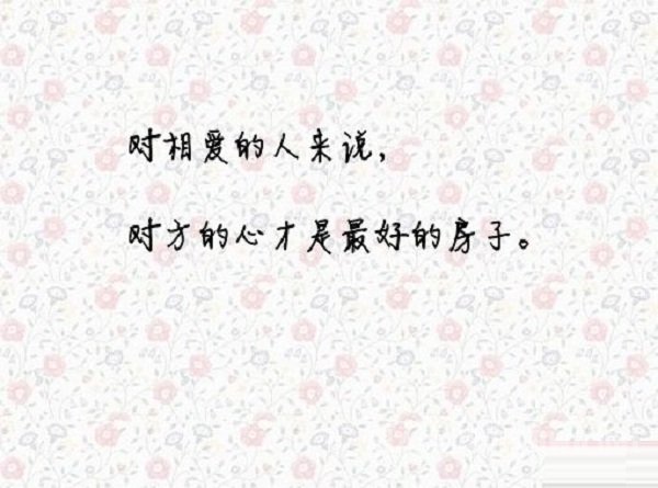 ϴƷ