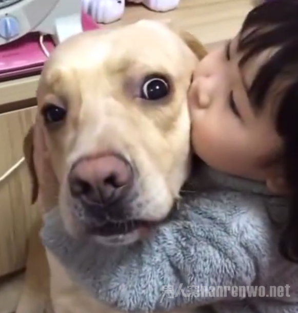 2岁女娃猛亲狗狗