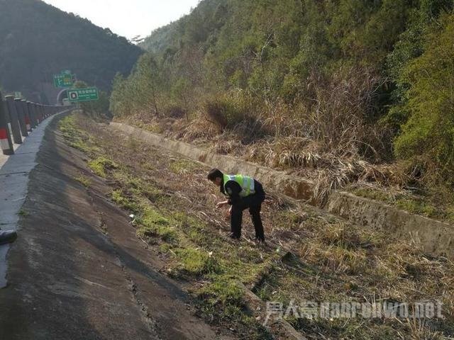 交警帮忙捡钱