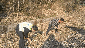 帮忙捡硬币