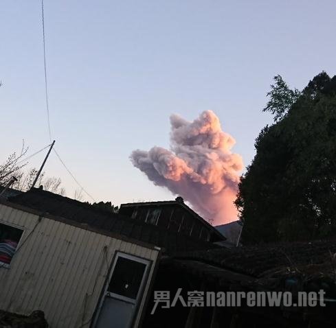 ��ɽ����ۺ�ɫè