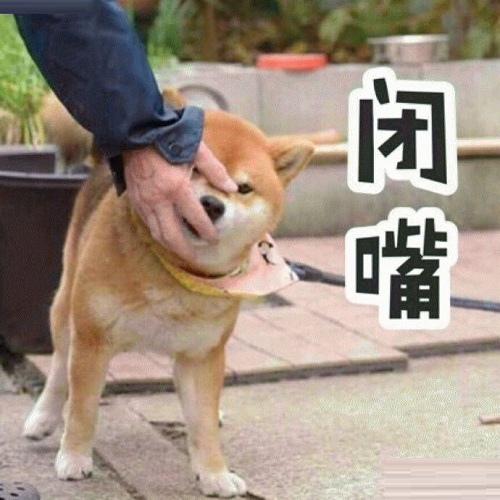 ߴ