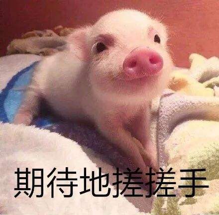 ߴ