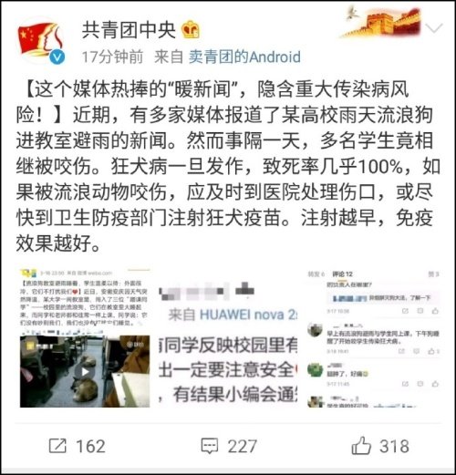 流浪狗教室避雨竟反转