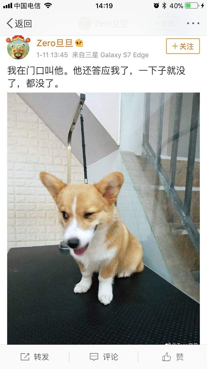 疑索酬不成摔死小狗