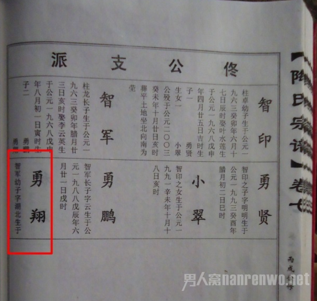 族谱