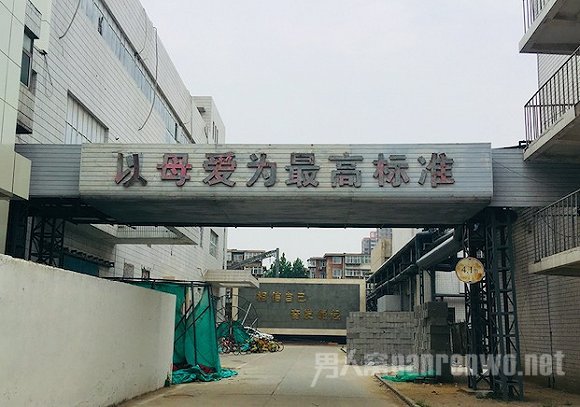 三聚氰胺事件10年
