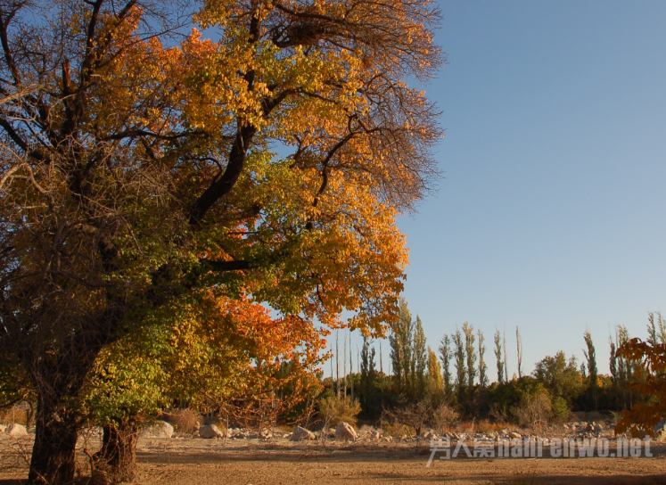 ̸������һ��