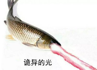 Ĺ