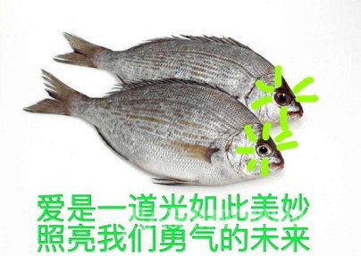 Ĺ