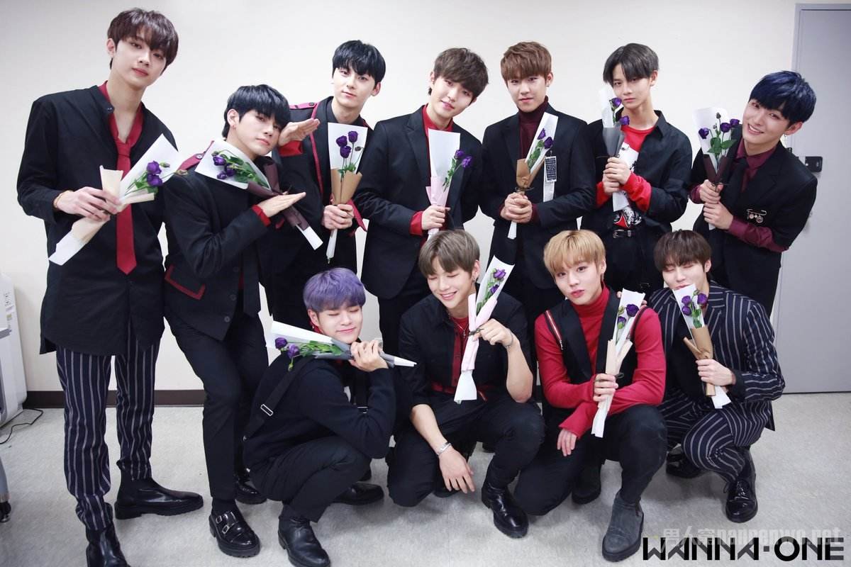 WANNAONE演唱会