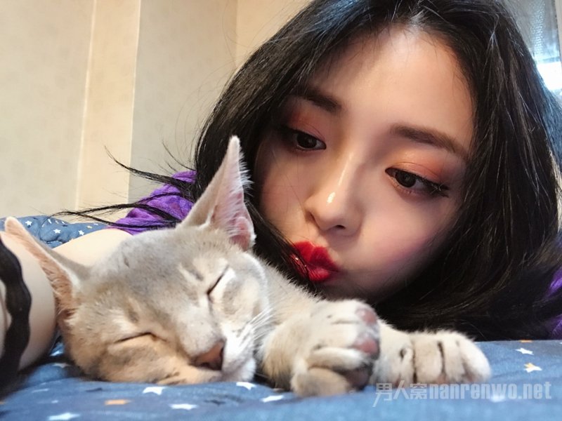 周洁琼资深猫奴 