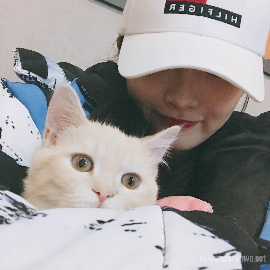 周洁琼猫叫什么名字