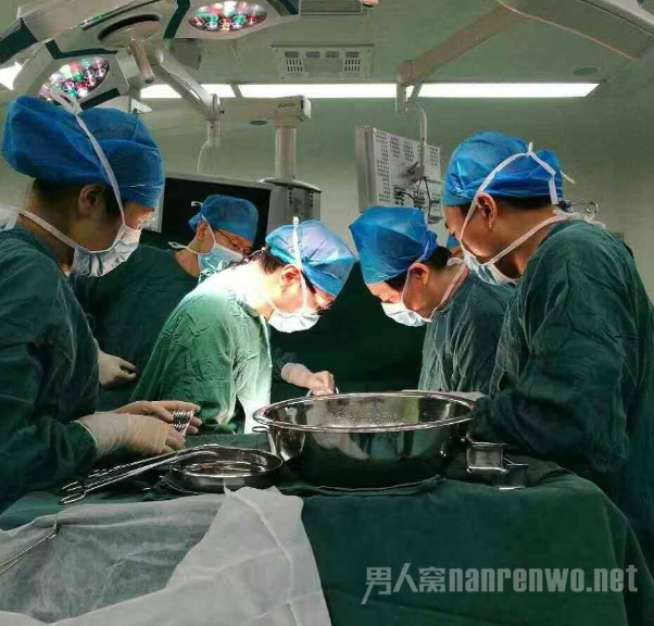 脑死亡