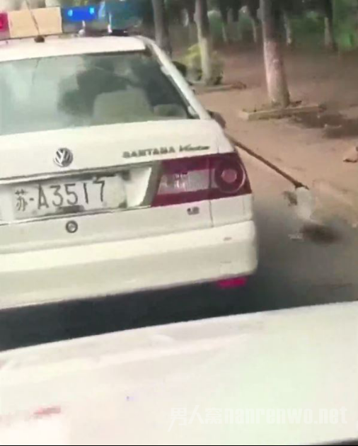 警车拖拽流浪犬