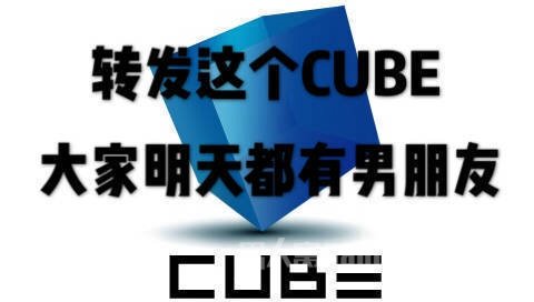 cube红娘公司